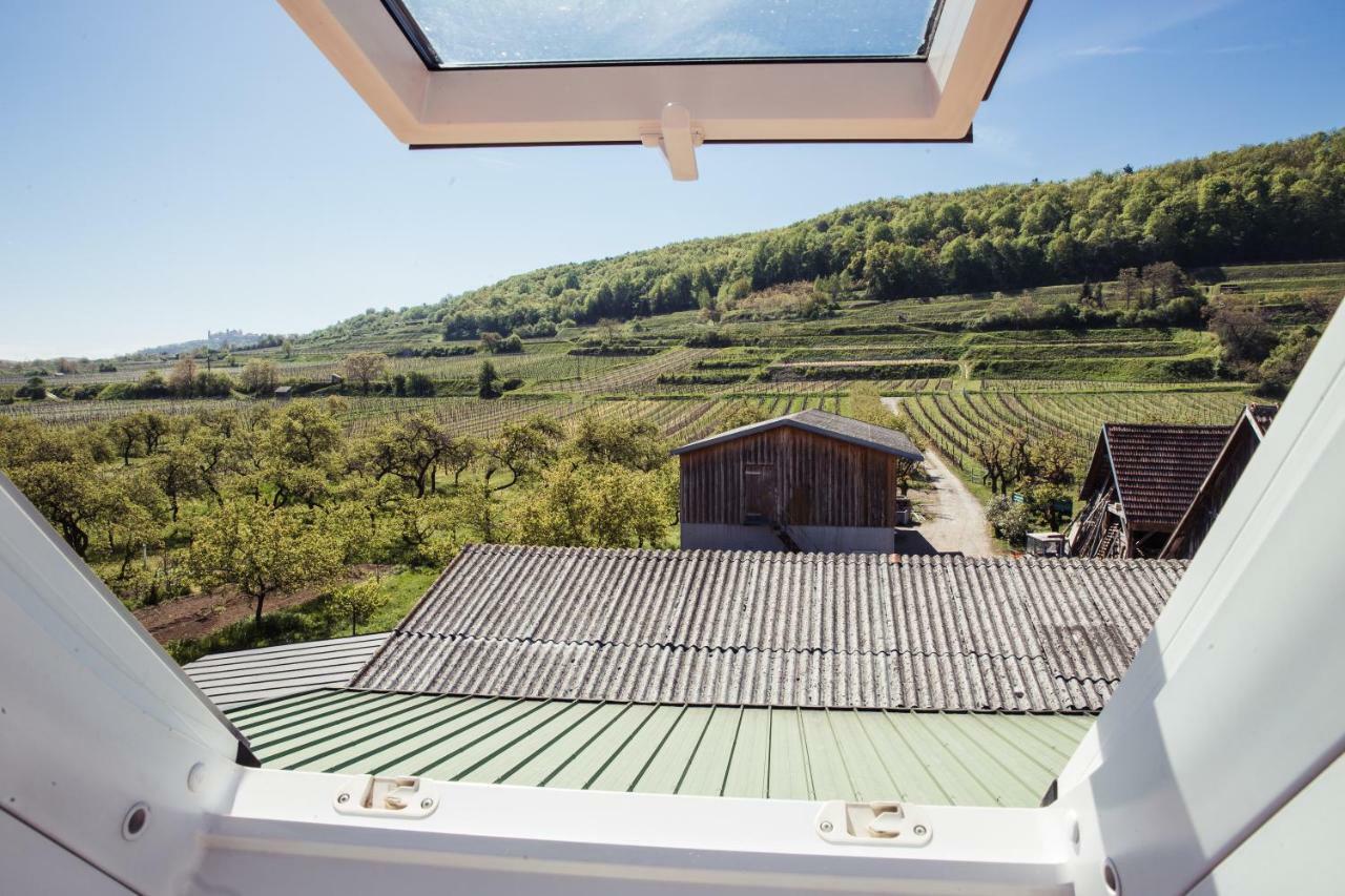 Weingut Jakob`s Ruhezeit Mautern an der Donau Exterior foto