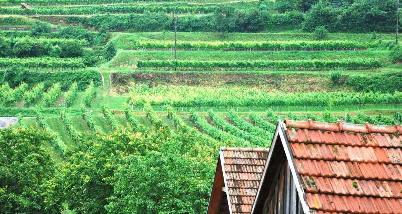 Weingut Jakob`s Ruhezeit Mautern an der Donau Exterior foto